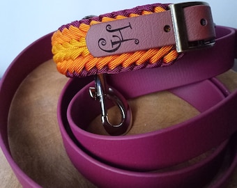 Autumnal paracord dog collar with matching Biothane dog leash in burgundy