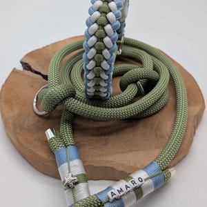 Halsband en riem voor honden "Storm Gull" gemaakt van paracord