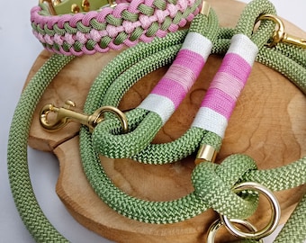 Spring set of paracord collar and rope leash for dogs