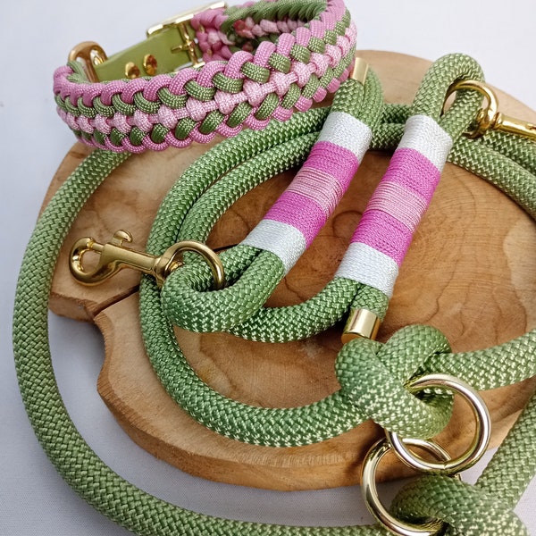 Spring set of paracord collar and rope leash for dogs