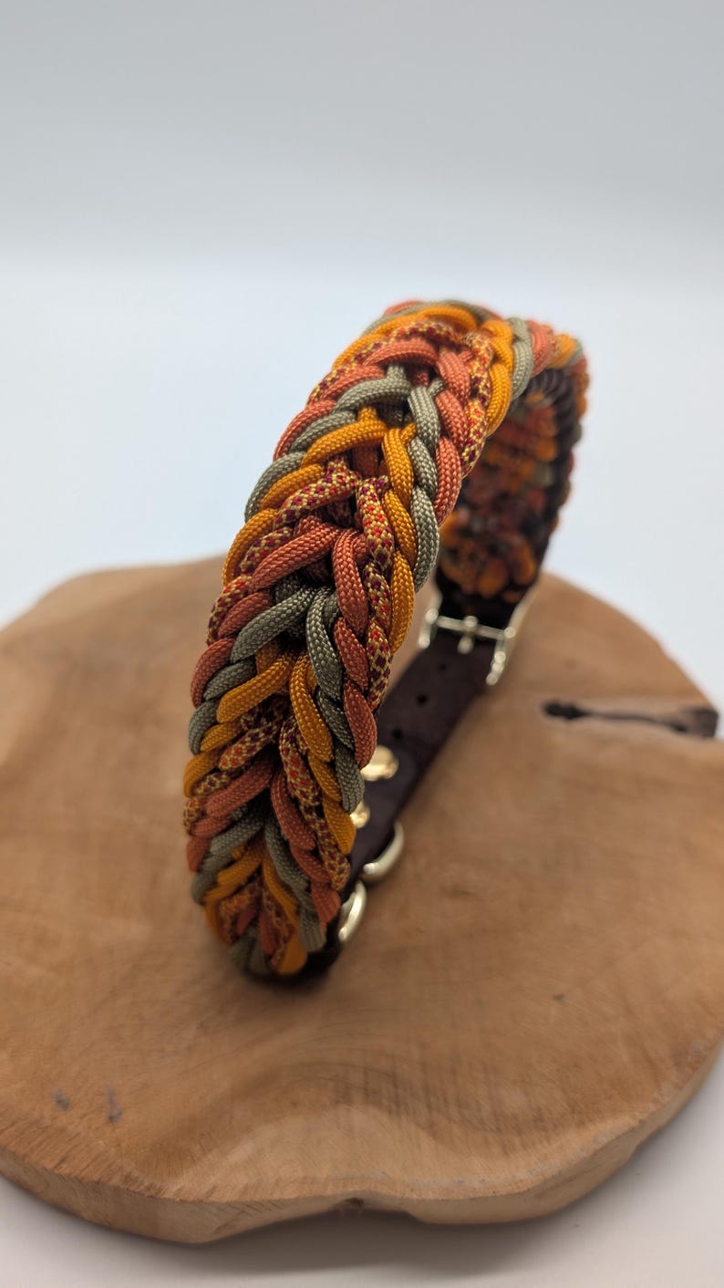 May include: Braided dog collar in shades of orange, yellow, and green. The collar features a brown leather backing and gold-colored hardware. The braided design is intricate and eye-catching, suitable for a medium to large dog.