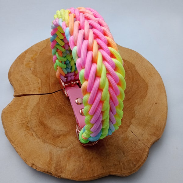 Regenbogenhalsband und Leine aus Paracord