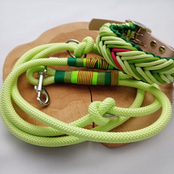 Spring set of paracord dog collar and rope leash