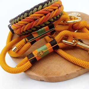 Paracord hondenriem en halsband "Herfstpompoen"