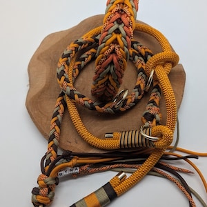 May include: A braided dog collar and leash set in shades of orange, brown, and olive green. The leash features gold-colored metal hardware and the name "RYNA" on the leash. The set is displayed on a wooden surface.