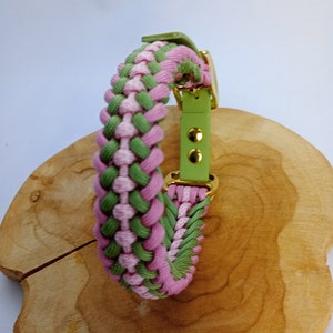 Frühlingsset Paracordhalsband und Tauleine für Hunde Bild 7