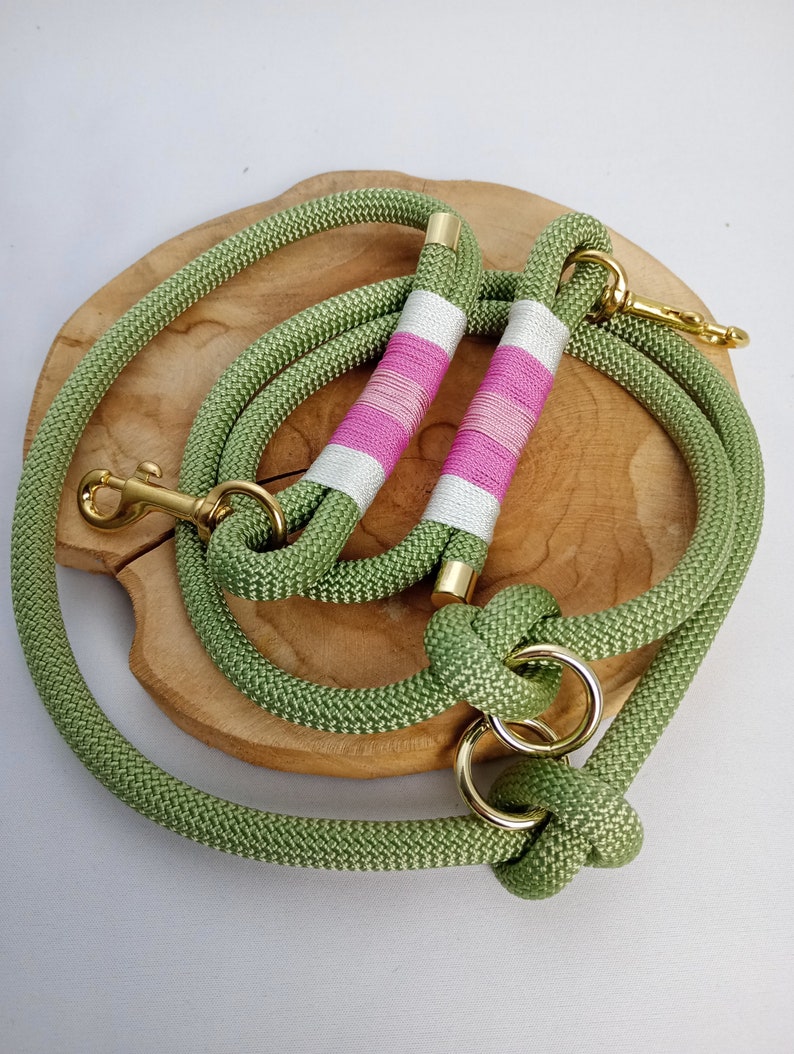 Frühlingsset Paracordhalsband und Tauleine für Hunde Bild 6