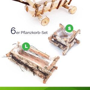 Dekoratives Natur-Set: 2 Holzwagen & 4 Pflanzkästen (2x L, 2x S) aus Birkenholz