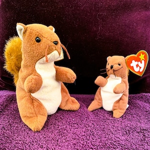 May include: Two plush squirrel toys. The larger squirrel is brown with a fluffy tail and a cream-colored belly. The smaller squirrel has a similar design. Both have black eyes and whiskers. The smaller squirrel has a Ty heart tag.