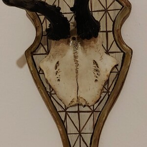 Deer trophy