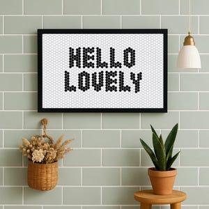 May include: A framed art print with the words "HELLO LOVELY" in black dot letters on a white background. The frame is black. The print hangs on a light green tiled wall, with a hanging basket of dried flowers and a potted plant.