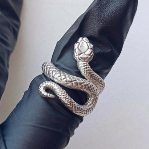 May include: A silver snake ring with a coiled design. The snake's head is raised and has a textured surface.