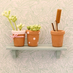 May include: Three miniature terracotta pots on a pale blue shelf. Two pots contain small plants, one with a pink bow and the other with white polka dots. The third pot holds miniature gardening tools. The background is floral wallpaper.