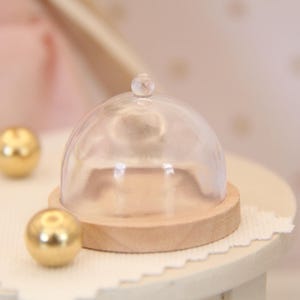 May include: A miniature clear plastic dome cover with a small knob handle, resting on a circular light-coloured wooden base. The dome is transparent and smooth, designed to fit securely onto the flat wooden surface of the circular base.