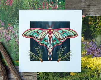 May include: A square art print with a detailed illustration of a moth. The moth's wings are teal, pink, and yellow, set against a dark backdrop. Green foliage accents the bottom. The print is on white, with garden images in the background.