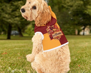 Golden snitch dog costume Etsy