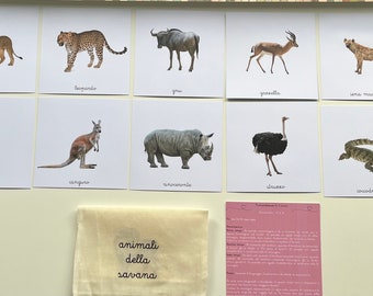 Nomenclatura Montessori animali della savana