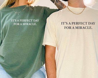 Transfer Day It's A Perfect Day for A Miracle Sirt for Couples Shirt ,Comfort Colors® IVF Mom and Dad Gift Shirt, Ivf Strong Matching Tee