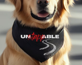 Max-Inspired Pet Bandana Collar: Un-Stapp-able Racing Spirit!