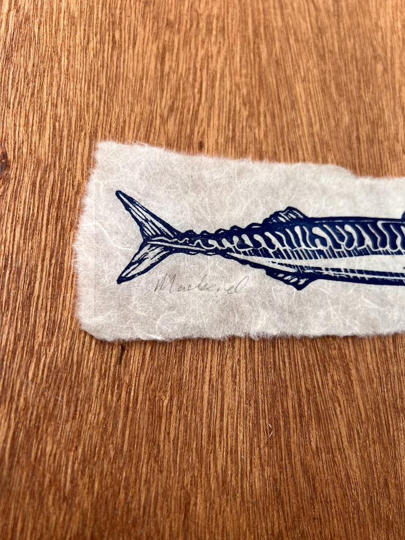 May include: A dark blue ink print of a mackerel fish on a rectangular piece of off-white textured paper with deckled edges. The word Mackerel is handwritten in cursive script in pencil beneath the tail of the fish illustration.