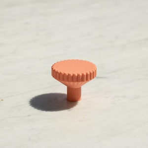 Può includere: Un pomello per mobili color pesca con una parte superiore piatta e circolare caratterizzata da un bordo scanalato simile a un ingranaggio. Il pomello ha una base cilindrica che si restringe leggermente verso il centro, dal profilo opaco.