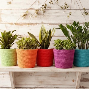 May include: Five colorful crochet plant pots in green, orange, red, purple, and teal, each holding a different houseplant. The pots are arranged on a white shelf against a weathered, white-painted wood background. The plants vary in size and shape.