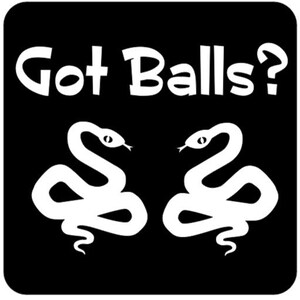 Ball Python Humor T-Shirt: Got Balls?