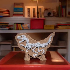 Dino Fossil Display - High-Quality 3D Print
