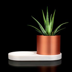 Trinket Dish and Planter– Customizable Colors, Modern Indoor Plant Holder, Decorative Home Garden Accessory