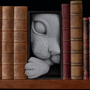 Cat&#39;s Curiosity Book Nook - 3D Printed High-Quality Plastic, Detailed & Paintable