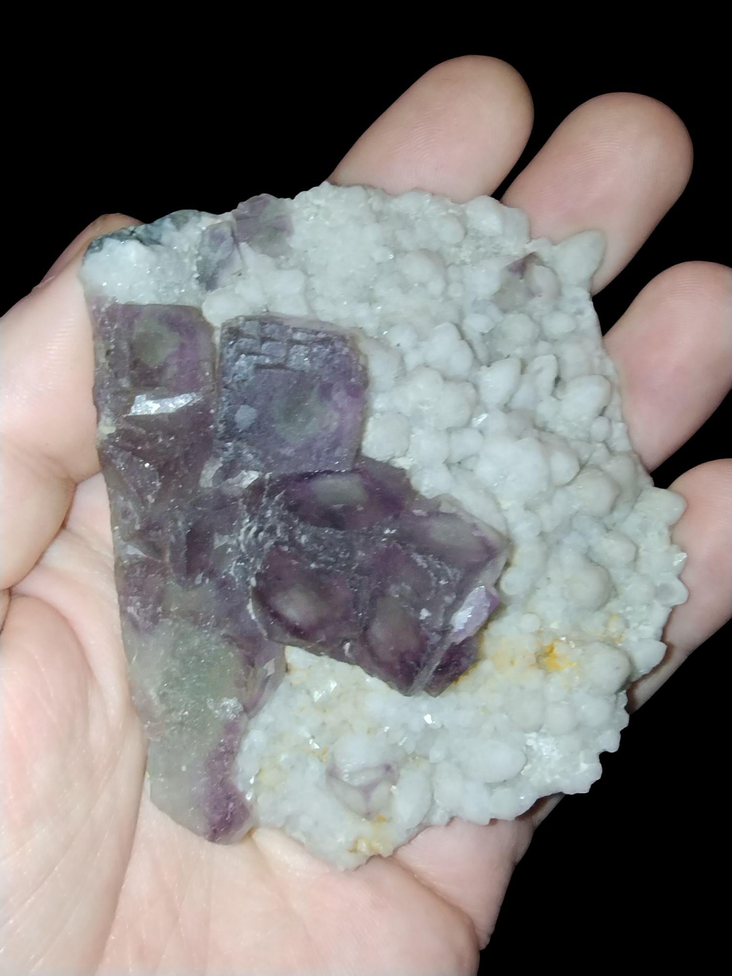 Alien eye fluorite - Etsy 日本