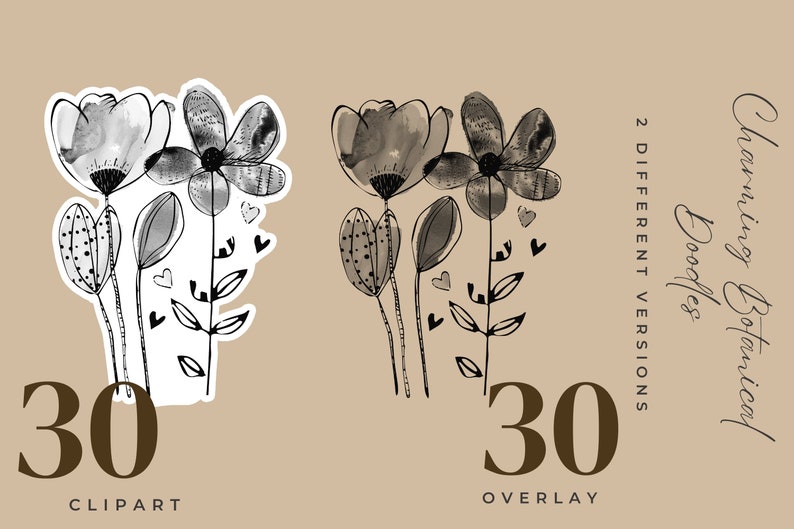 Może przedstawiać: Zestaw 30 czarno-białych ilustracji clipart&oacute;w kwiatowych. Kwiaty są stylizowane i mają efekt akwarelowy. W obrazie widoczny jest tekst "Charming Botanical Doodles" i "2 DIFFERENT VERSIONS". W obrazie widoczny jest r&oacute;wnież tekst "30 CLIPART" i "30 OVERLAY".