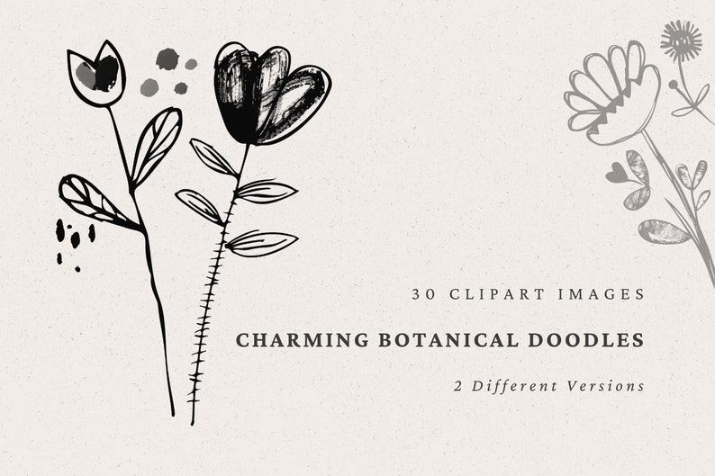 Może przedstawiać: Zestaw 30 czarno-białych obraz&oacute;w clipart z uroczymi botanicznymi bazgrołami. Obrazy zawierają kwiaty, liście i łodygi. Tekst "Charming Botanical Doodles" i "2 Different Versions" jest zawarty w obrazie.