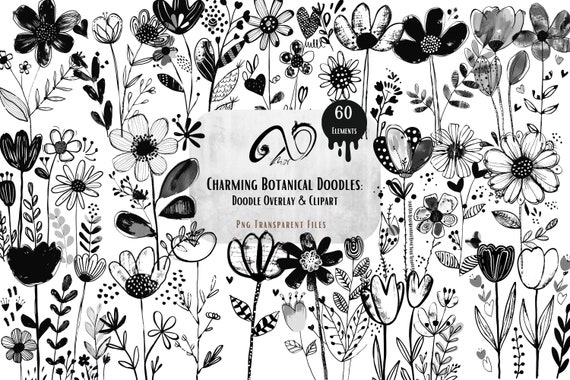 Floral Doodle Clipart: Botanical Line Art Overlays (PNG Digital Illustration)