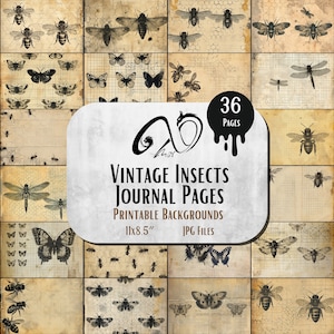 Pagine di diario di insetti vintage, stampabili, effimere vintage, carte di diario spazzatura, insetti vintage, farfalle vintage, effimere grunge stravaganti