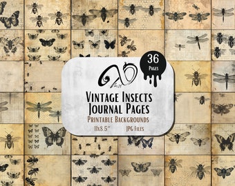 Pagine di diario di insetti vintage, stampabili, oggetti effimeri vintage, carte di diario spazzatura, insetti vintage, farfalle vintage, effimeri Grungy stravaganti