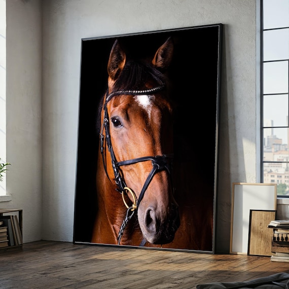 Majestic Horse Portrait Canvas, Equestrian Wall Art, Brown Horse Face Canvas, Extra Large Animal Canvas, Dramatic Black Background
