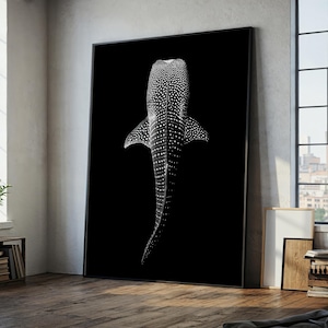 Könnte beinhalten: Schwarz-Weiß-Kunstdruck mit Rahmen eines Walhais. Das Bild zeigt den Walhai von oben, mit seinem gepunkteten Muster und seinen Flossen vor einem schwarzen Hintergrund. Das Kunstwerk wird in einem Raum mit natürlichem Licht ausgestellt.