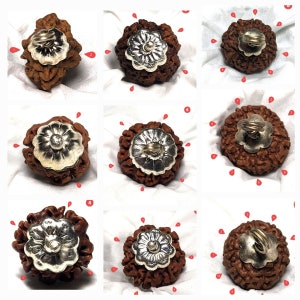 Rudraksha - authentieke echte rudraksha-kralen - spirituele groei en positieve energie!