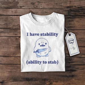 Ich habe Stabilität lustiges Shirt, Geschenk, Retro lustiges T-Shirt, seltsames T-Shirt, Meme TShirt, verrücktes Shirt, Unisex-Shirt, lustiges Geschenk, nettes T-Shirt