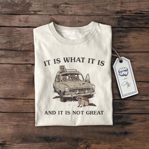 Es ist was es ist, lustiges T-Shirt, seltsames T-Shirt, memes T-Shirt, verrücktes T-Shirt, lustiges Shirt, Pyjama-T-Shirt, lustige Geschenke für sie