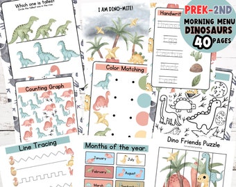 Dinosaur Themed Math Workbook: Preschool Kindergarten Worksheets (PDF Download)