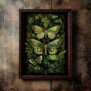 Celestial Green Moth Poster, Goth Butterflies Wall Art Illustration, Goblincore Whimsigoth Home Decor, Cottagecore Dark Moths Print