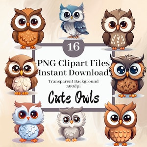 Set di 16 Clipart di gufi carini, file PNG Clipart, grafica kawaii di gufi, download immediato, dolce pacchetto di compleanno per gli amanti dei gufi, asilo nido per animali.
