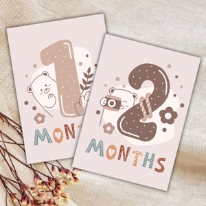 Cartes d'étapes bébé fille, cartes mensuelles écusson fille, lot de 12 mois, cadeaux de baby shower, cartes d'étapes imprimables pour filles, statistiques de naissance