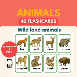 Land Animals Flashcards: Montessori ESL Learning Cards (PDF Downloadable Printable Set of 40 Cards)