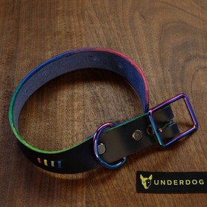 Navy & Rainbow Leather Dog Collar, Small, 1&quot; width