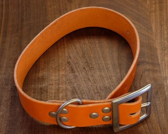 Orange & Nickel Leather Dog Collar, XL, 1.5" width