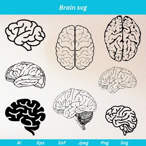 May include: A set of eight black and white line drawings of the human brain in different views. The brain is shown from the side, top, and bottom. The drawings are simple and stylized.