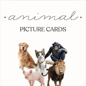 Animal Picture Cards for ABA - Digital Download